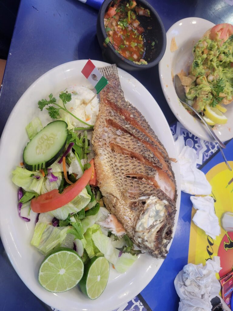 Musica En Vivo Diario Mariachi 1 1